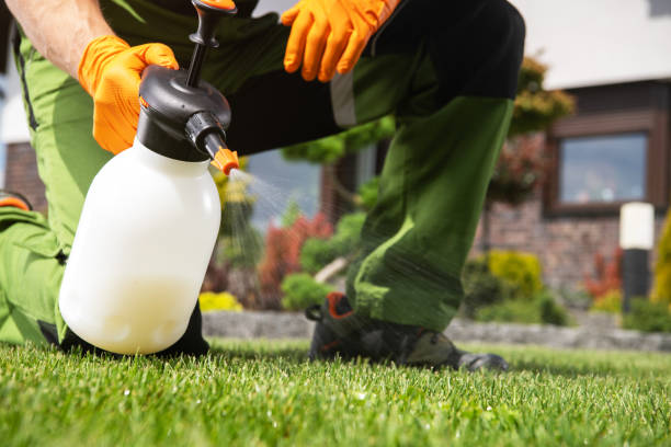 Best Rat Extermination Near Me  in Harrison, MI
