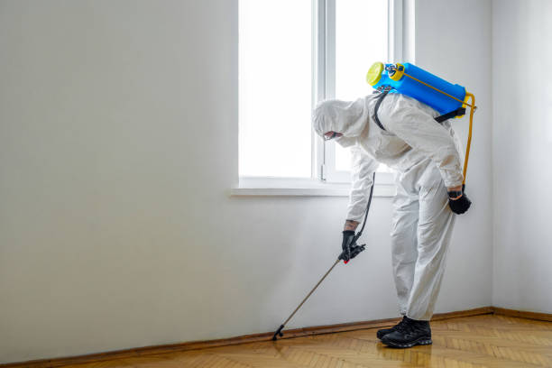 Best Pest Prevention Services  in Harrison, MI