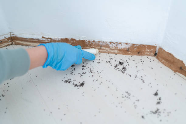 Best Exterminator Services  in Harrison, MI